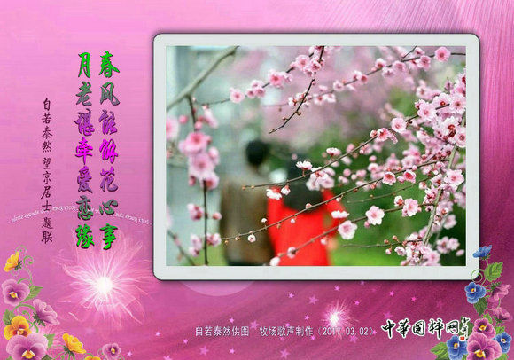 05.jpg