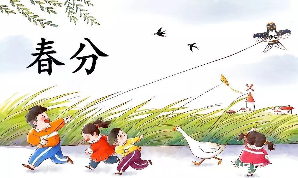 t01cf139d6a420c7b5a.webp.jpg