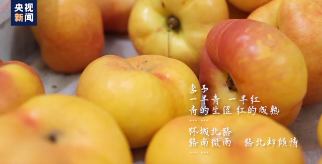 浙江男子的朋友圈火了！网友惊叹：卖水果也能这么浪漫-4.jpg