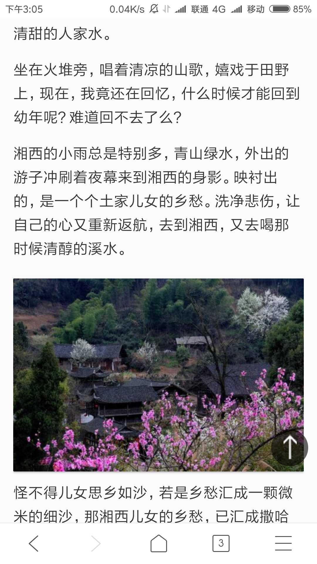 青年作家程子君？梅虹影？——一个抄袭者传说-5.png