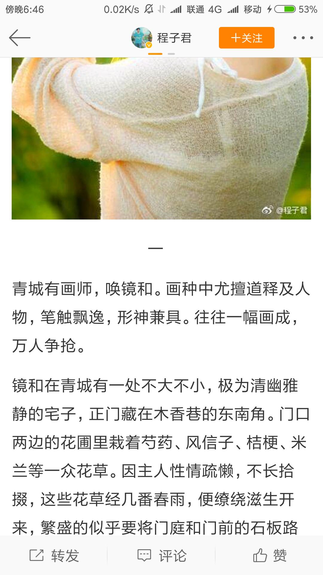 青年作家程子君？梅虹影？——一个抄袭者传说-10.png