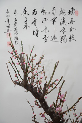 破坏传统文化？教育部这样回应古诗改读音-1.jpeg