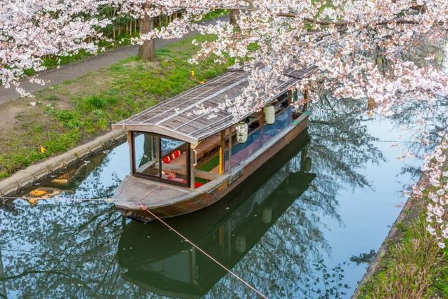 10首春游诗词，看古人的浪漫春天-5.jpg