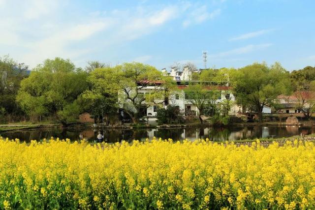 10首春游诗词，看古人的浪漫春天-7.jpg