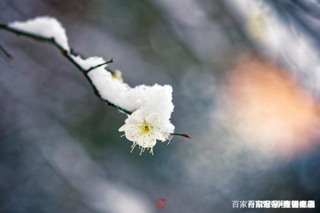 唐朝非著名诗人的一首诗，仅仅28字，就有14字成为千古名句-3.jpg