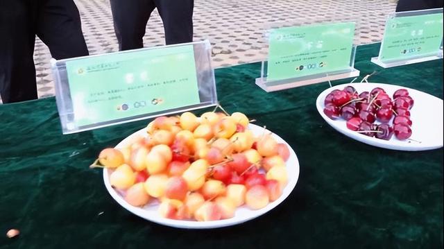 暖心！这些高校的毕业礼物，每一件都让人羡慕-45.jpg