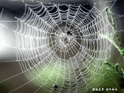 t01113f1905f4537fdf.gif