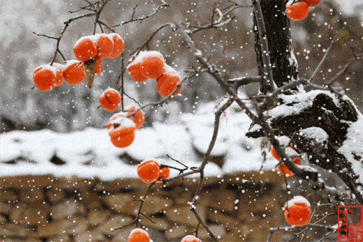 3133e7de536c470b839134959903f924.gif