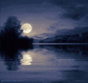 t01fb8e44cc7862c1c7.gif