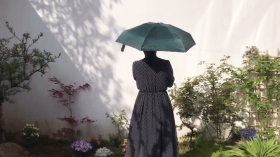2022_0418_97b52c18g00raj7o700n9d200fk008rg00fk008r.gif