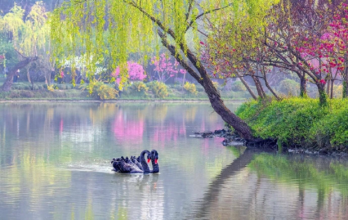 十五首《春日游》的诗词，春日游，韶光妍媚，海棠如醉...-1.jpeg