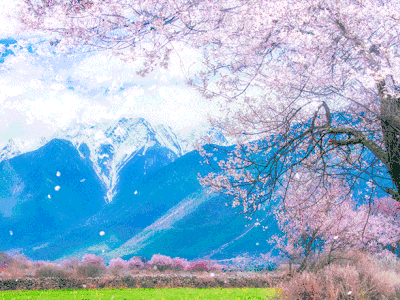 0462c853ff7372e62ed2fdd4619144b4.gif