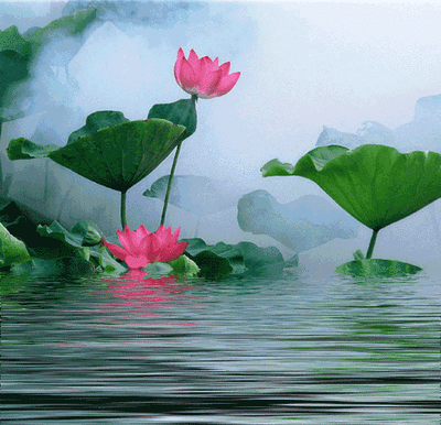 t010f21b3aef38adf31.gif