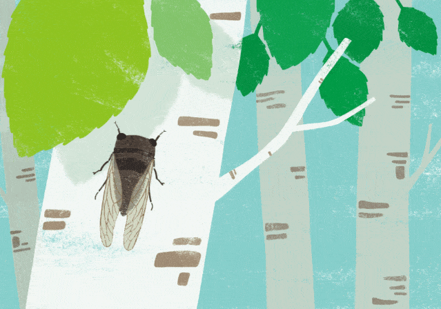 9629a572b6014e119fcfb250c2be0044.gif
