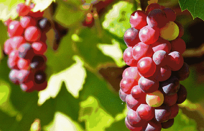 t0447b02b0c043e47de.gif