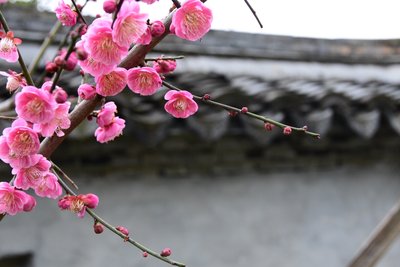 t0180bf947db3437dc1.jpg