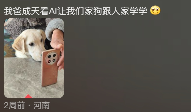 AI生成的假孙子“1岁做四菜一汤”，信以为真的咱奶被哄...-24.jpg