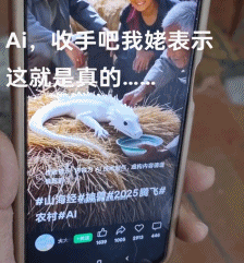 AI生成的假孙子“1岁做四菜一汤”，信以为真的咱奶被哄...-31.jpg