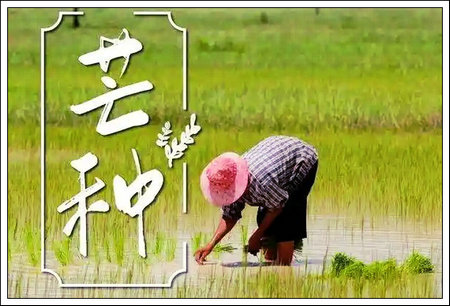 新建图片.jpg