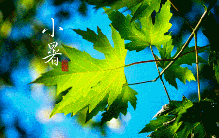 乙巳小暑