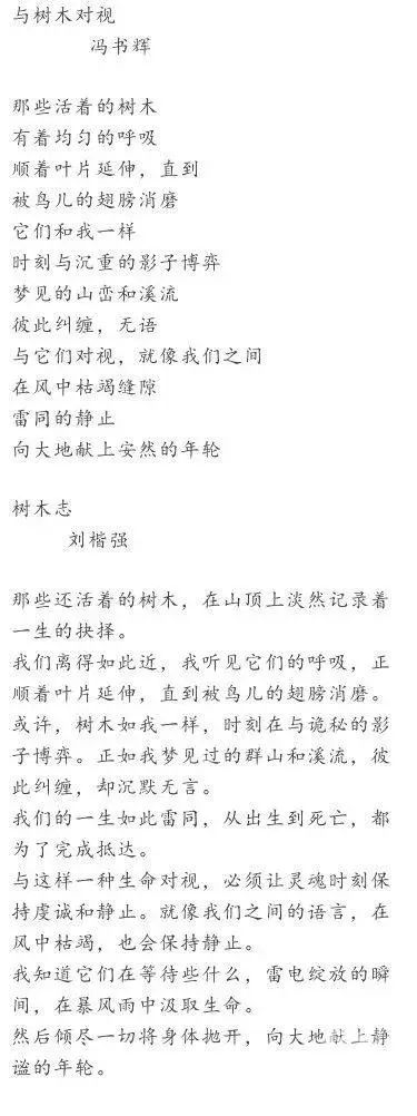 “确认多次抄袭，永不刊用！”-3.jpg